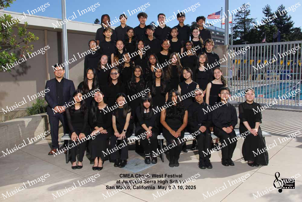 Musical Images